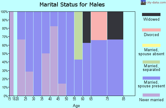 Zip code 75101 marital status for males