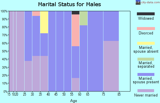 Zip code 75102 marital status for males