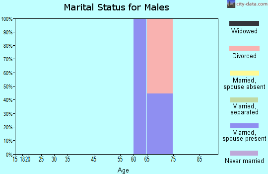 Zip code 75121 marital status for males