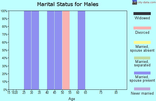 Zip code 75132 marital status for males