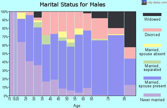 Zip code 75143 marital status for males