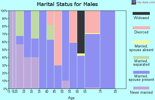 Zip code 75163 marital status for males