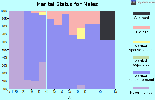 Zip code 75166 marital status for males