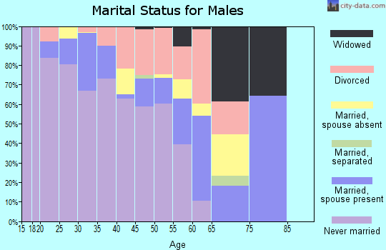 Zip code 75201 marital status for males