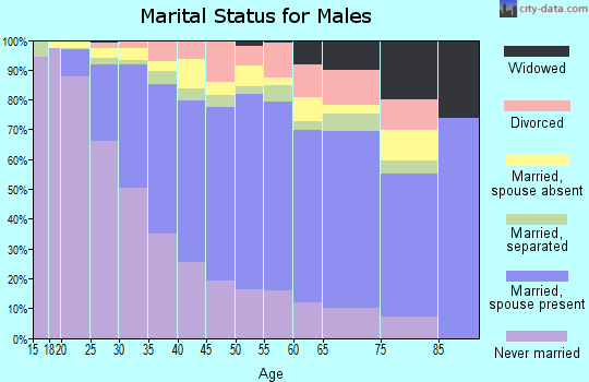 Zip code 75211 marital status for males