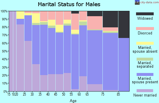 Zip code 75234 marital status for males
