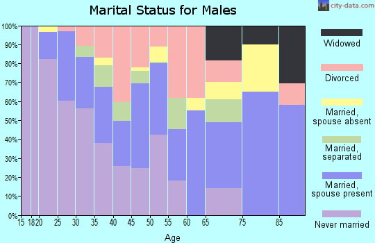 Zip code 75237 marital status for males
