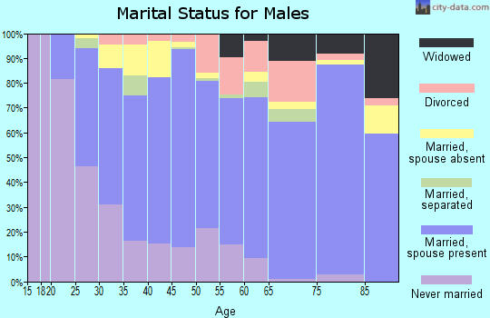 Zip code 75238 marital status for males