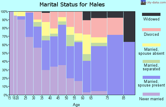 Zip code 75240 marital status for males
