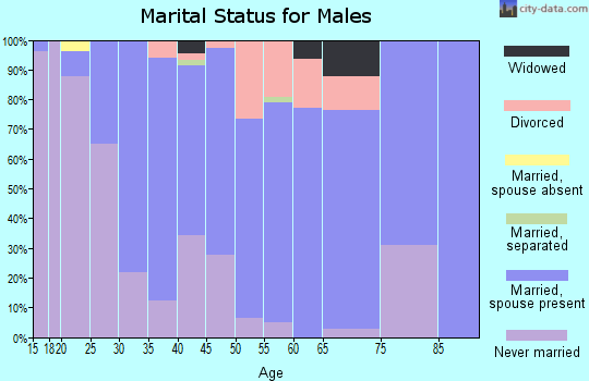 Zip code 75249 marital status for males