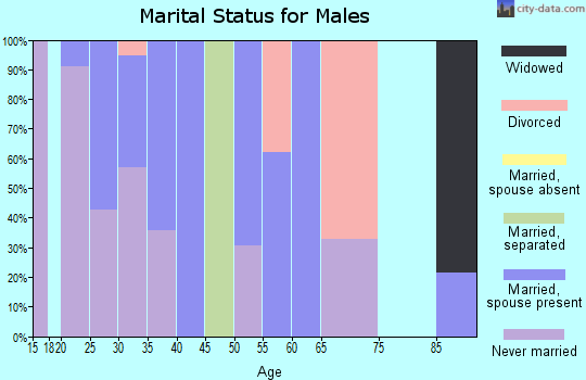 Zip code 75251 marital status for males