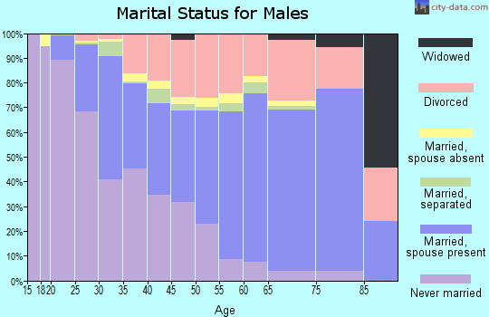 Zip code 75287 marital status for males