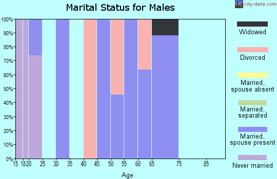 Zip code 75413 marital status for males