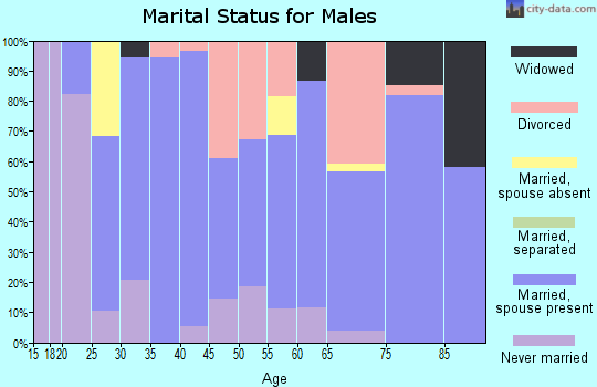 Zip code 75423 marital status for males