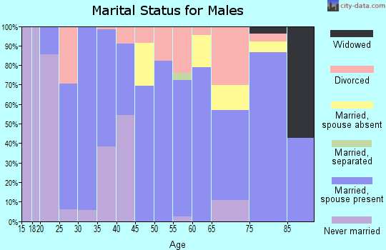 Zip code 75435 marital status for males