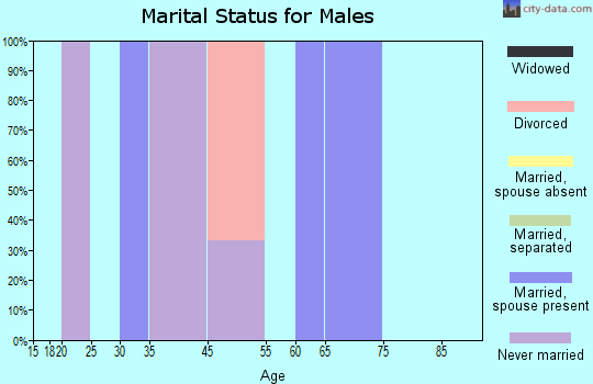 Zip code 75485 marital status for males
