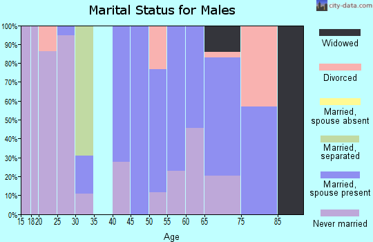 Zip code 75667 marital status for males