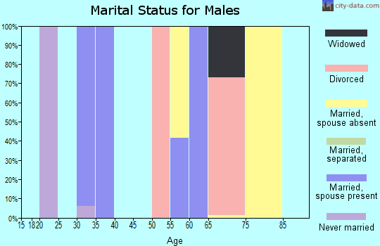 Zip code 75849 marital status for males