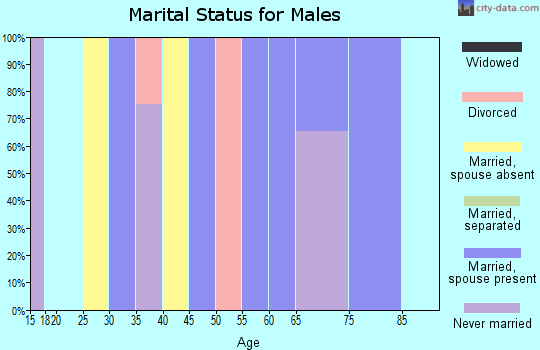 Zip code 75928 marital status for males