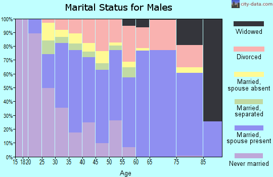 Zip code 76040 marital status for males