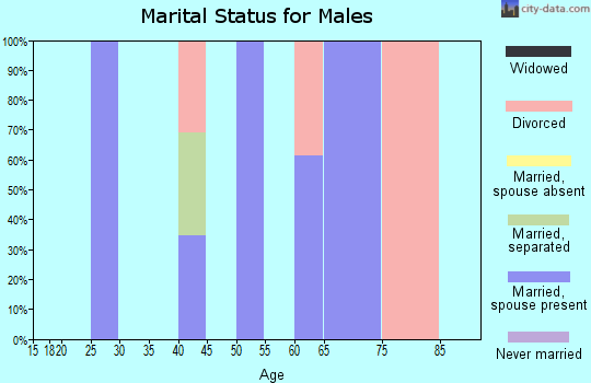Zip code 76041 marital status for males