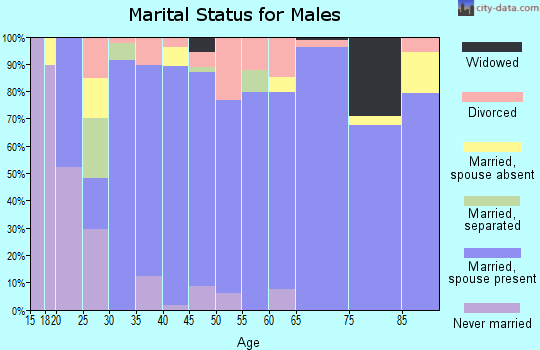 Zip code 76050 marital status for males