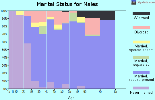 Zip code 76058 marital status for males