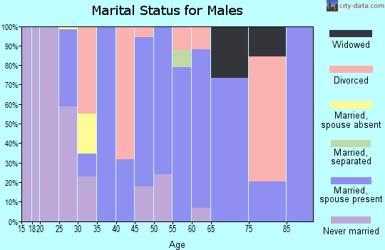 Zip code 76066 marital status for males