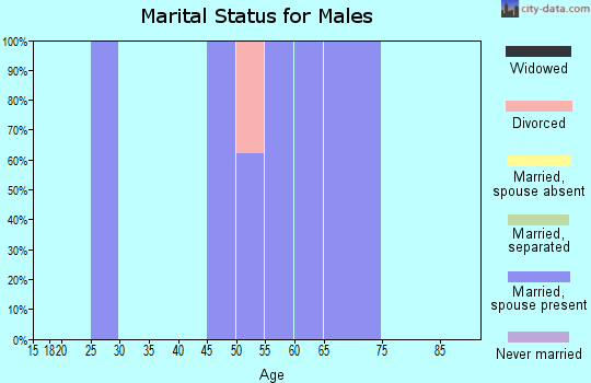 Zip code 76070 marital status for males