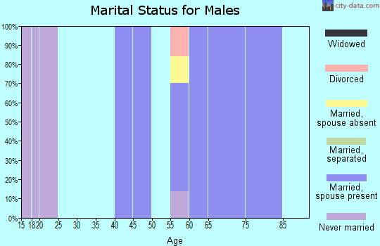 Zip code 76077 marital status for males
