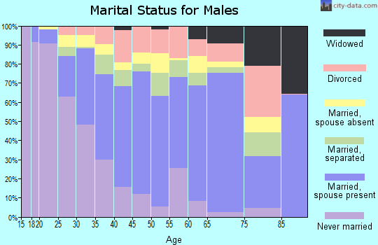 Zip code 76106 marital status for males