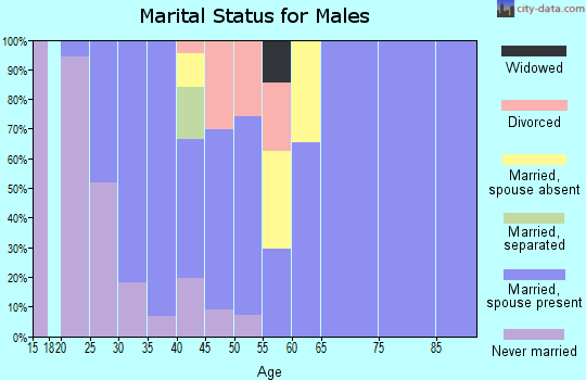 Zip code 76177 marital status for males