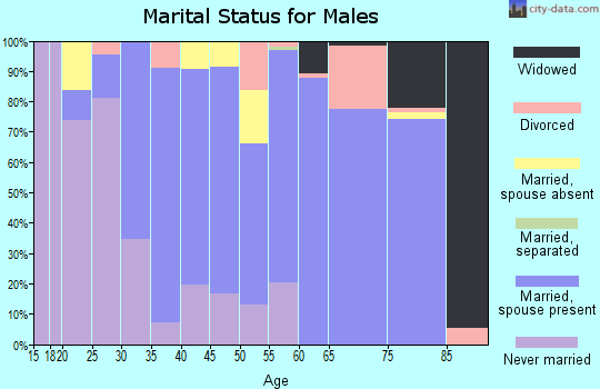 Zip code 76258 marital status for males