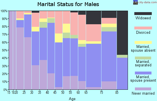 Zip code 76301 marital status for males