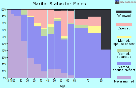 Zip code 76302 marital status for males