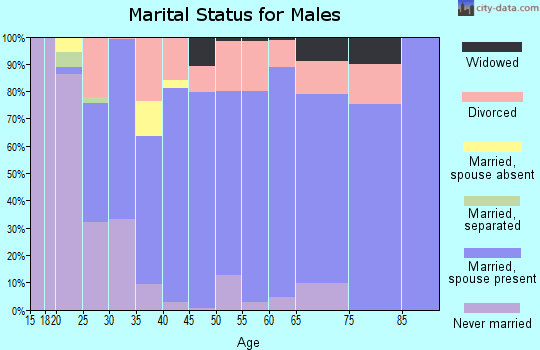 Zip code 76305 marital status for males