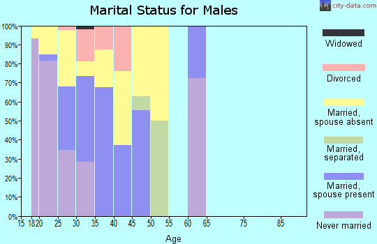 Zip code 76311 marital status for males