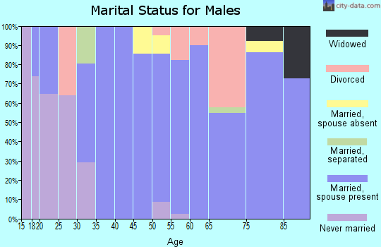 Zip code 76351 marital status for males