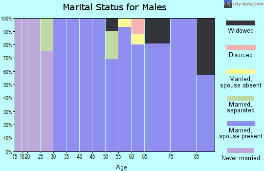 Zip code 76357 marital status for males