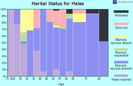 Zip code 76360 marital status for males