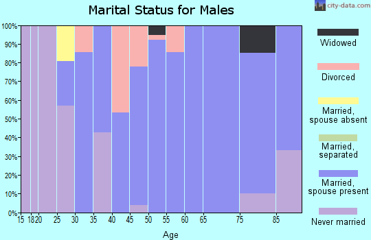 Zip code 76379 marital status for males