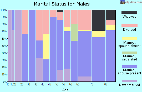 Zip code 76380 marital status for males