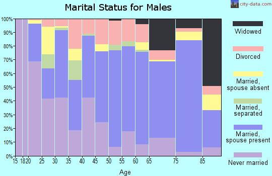 Zip code 76384 marital status for males