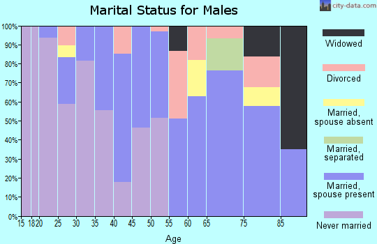 Zip code 76448 marital status for males