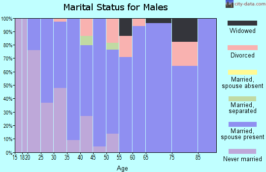 Zip code 76449 marital status for males