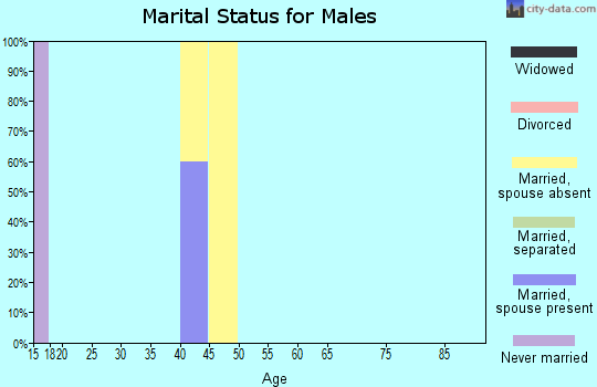 Zip code 76452 marital status for males