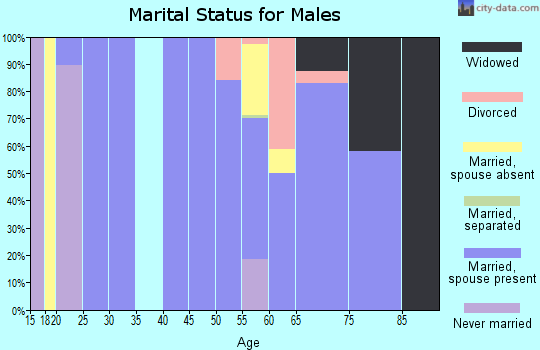 Zip code 76454 marital status for males