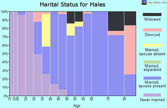 Zip code 76455 marital status for males
