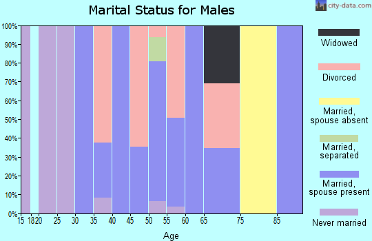 Zip code 76463 marital status for males