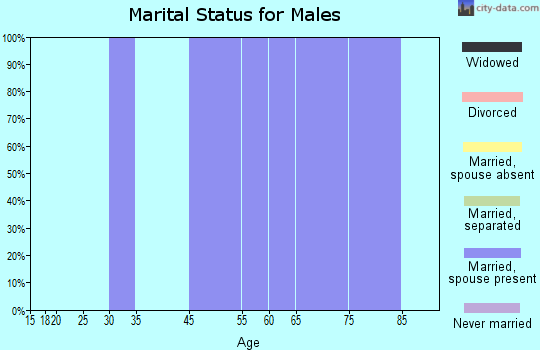 Zip code 76468 marital status for males